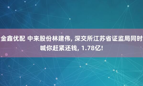 金鑫优配 中来股份林建伟, 深交所江苏省证监局同时喊你赶紧还钱, 1.78亿!